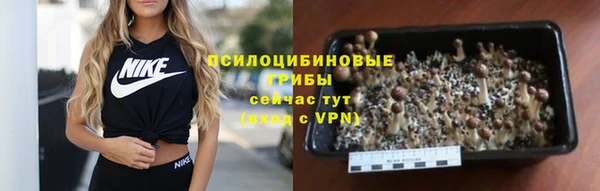 МДПВ Нея
