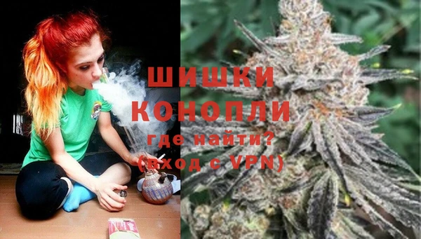 МДПВ Нея