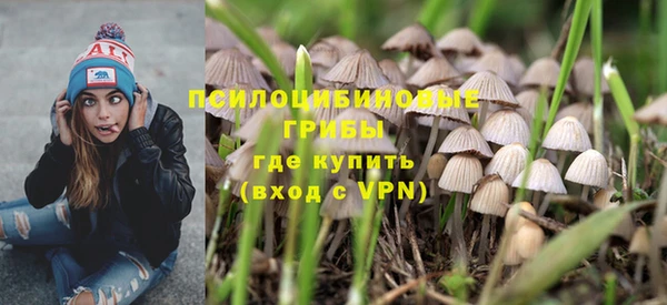 прущий лед Новозыбков