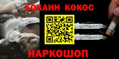 СК Кингисепп