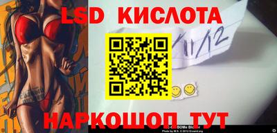 СК Кингисепп