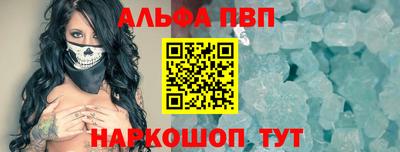 СК Кингисепп