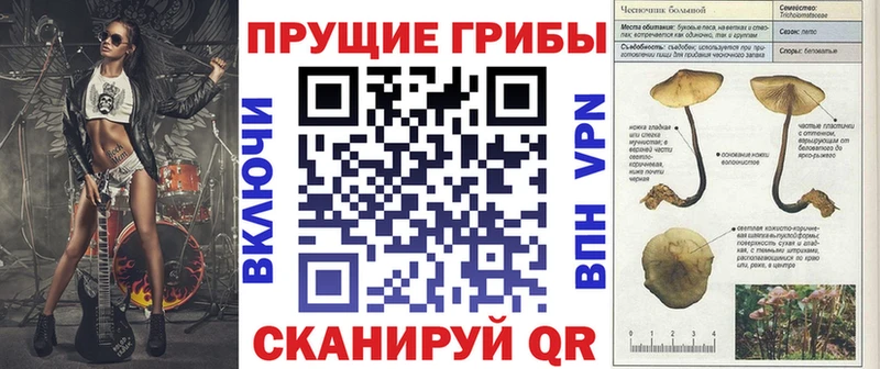 Галлюциногенные грибы Psilocybine cubensis купить наркотик Кстово