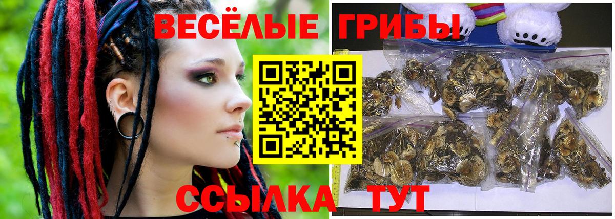 Галлюциногенные грибы Magic Shrooms  Вход с VPN  где можно купить   Псилоцибиновые грибы GOLDEN TEACHER  Кстово 